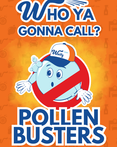 Windmaster Insert - Pollen Busters